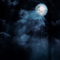 night sky - ilmainen png animoitu GIF