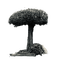 dark tree - безплатен png анимиран GIF
