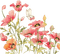 loly33 coquelicot papillon - Free PNG Animated GIF