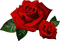 rose - gratis png geanimeerde GIF