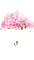 umbrella with pink roses - GIF animé gratuit GIF animé