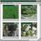 green windows - gratis png geanimeerde GIF