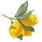 Lemon - Darmowy animowany GIF animowany gif