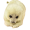 baby seal - безплатен png анимиран GIF