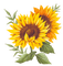 soave deco flowers sunflowers  yellow