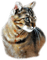 Cat - zadarmo png animovaný GIF