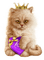 chat idca - 免费PNG 动画 GIF