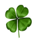 st patrick - Free PNG Animated GIF