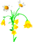 Flowers.Yellow.White - PNG gratuit GIF animé