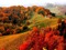 autumn - δωρεάν png κινούμενο GIF