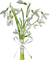 Snowbell Flower - безплатен png анимиран GIF