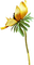 Fleur.Flower.yellow.Autumn.Victoriabea - png gratis GIF animado