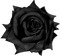 Black Rose - Gratis animeret GIF