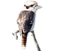 Australia birds bp - 免费PNG 动画 GIF