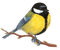oiseaux - png gratis GIF animado
