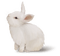 Kaz_Creations Animals Rabbit Hare