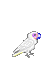 birds katrin - 無料のアニメーション GIF アニメーションGIF