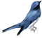 autumn deco kikkapink png blue bird - Free PNG Animated GIF