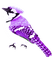 Bird.Black.White.Purple - Free PNG Animated GIF