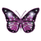 Kaz_Creations Butterfly - PNG gratuit GIF animé