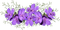 fleur violette.Cheyenne63 - kostenlos png Animiertes GIF