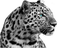 leopardo - gratis png animeret GIF