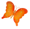 Papillon Orange:) - Free PNG Animated GIF