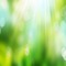 GREEN BG fond vert - Free PNG Animated GIF