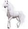 patricia87 cheval - zadarmo png animovaný GIF