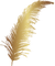 MMarcia folha dourada deco - besplatni png animirani GIF