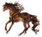 bronze pony