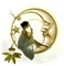 Kaz_Creations Woman Femme Moon - bezmaksas png animēts GIF