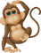 monkey bp - zdarma png animovaný GIF