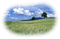 landscape sky overlay - PNG gratuit GIF animé