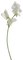 Fleur Blanc Jaune:) - безплатен png анимиран GIF