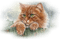 dulce gatos - Free PNG Animated GIF
