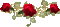 Flowers red rose bp - GIF animado grátis Gif Animado