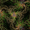 Rena Fantasy Background Hintergrund Glitter - Δωρεάν κινούμενο GIF κινούμενο GIF