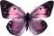 butterfly kikkapink purple - gratis png animerad GIF