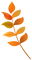 Kaz_Creations Autumn Fall Leaves Leafs