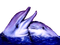delphin dolphin dauphin - png gratuito GIF animata