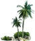 palm trees bp