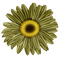 Tube Scrap-Décoration Fleur - ingyenes png animált GIF