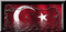 turkey - GIF animado gratis GIF animado