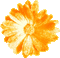 Flower.Orange.Animated - KittyKatLuv65 - Bezmaksas animēts GIF animēts GIF