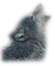 loup - 免费PNG 动画 GIF