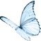 Schmetterling - ingyenes png animált GIF