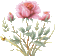 Rosa - Darmowy animowany GIF animowany gif