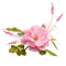 pink flower - nemokama png animuotas GIF