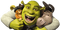 Kaz_Creations Shrek - gratis png geanimeerde GIF